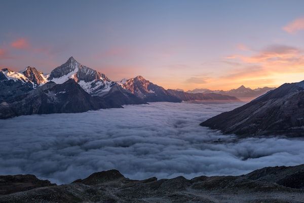 热带生活风格