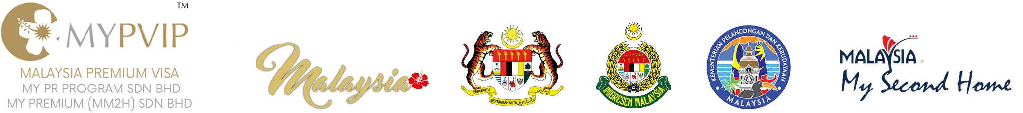footer-logo-mypvip-visa-premium5